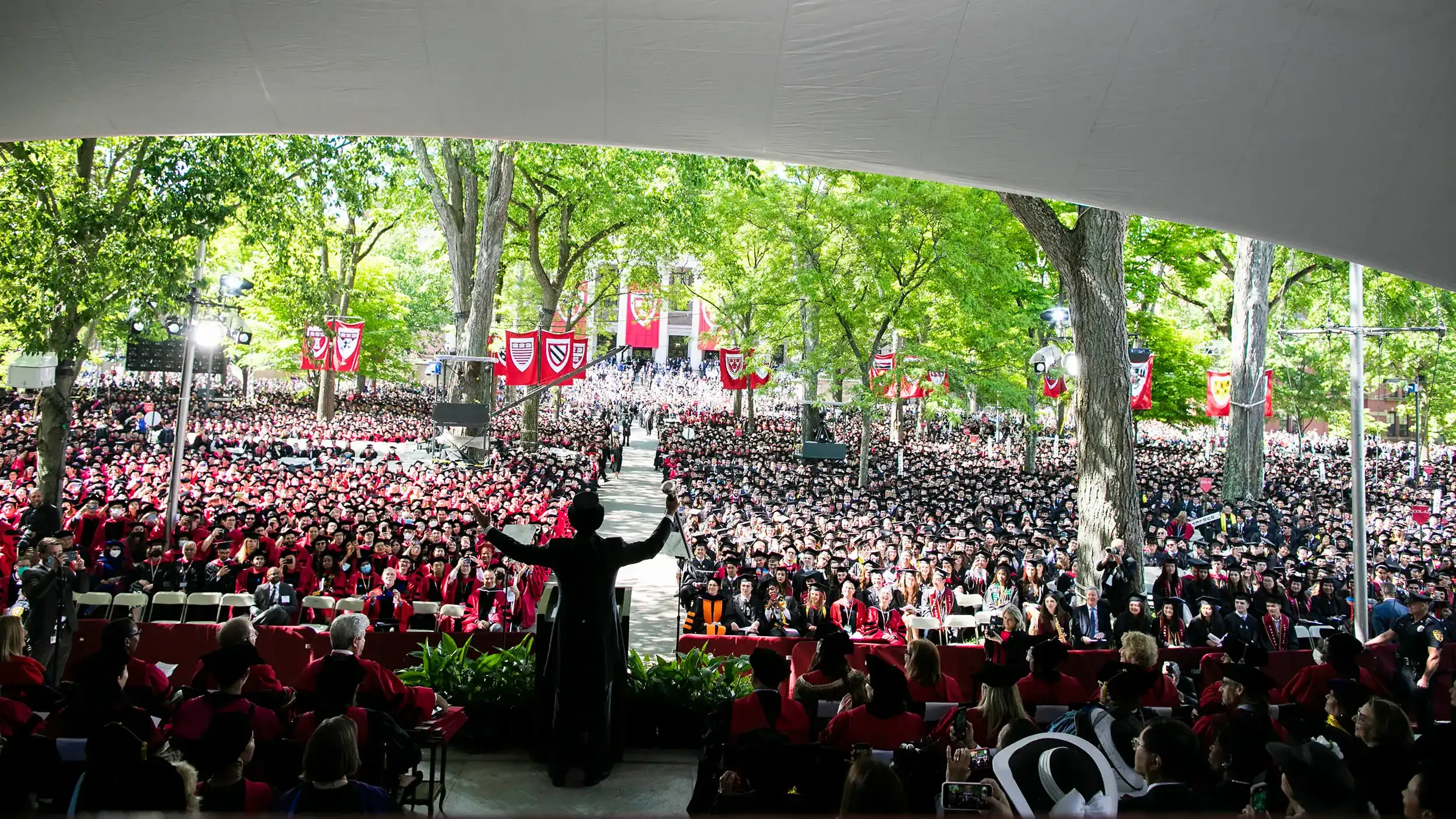 Harvard