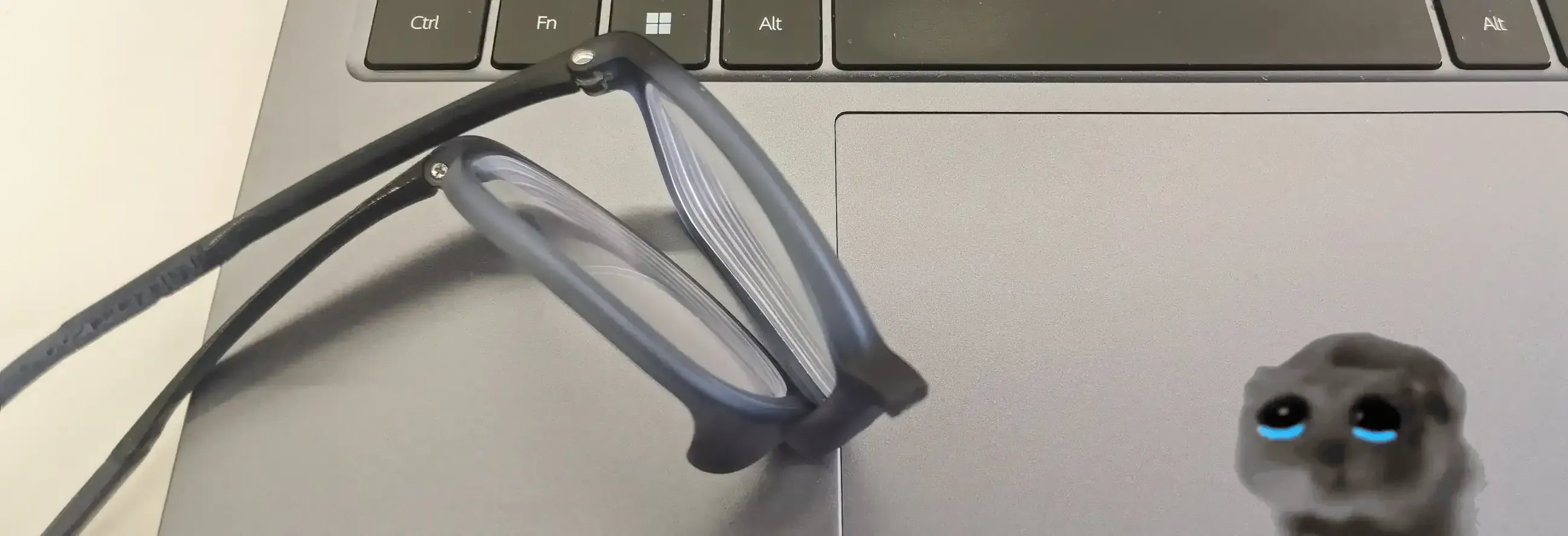 glasses.webp
